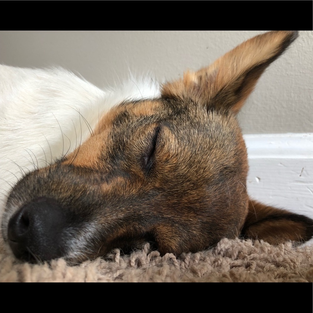 Meet your Posher, Rachel